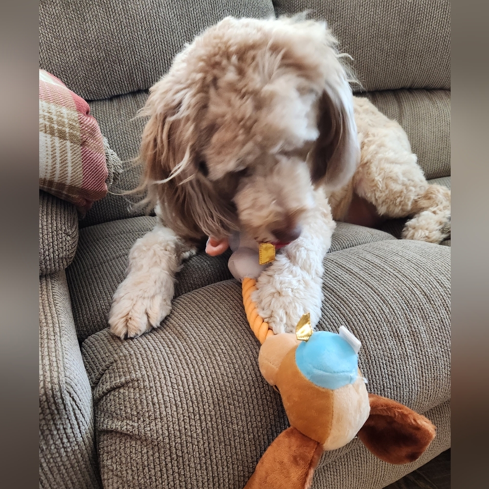 Pretzel (Fur Baby) Themed Mystery Item NWT - Picture 2 of 6